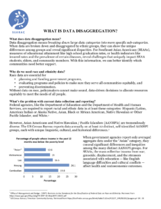 Data Disaggregation General Factsheet