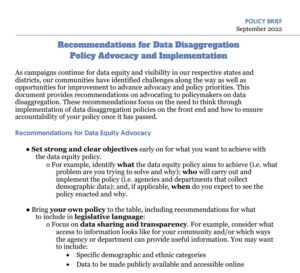 Recommendations for Data Disaggregation Policy Advocacy and Implementation